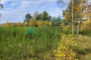 Działka na sprzedaż bytowski Parchowo Gołczewo - zdjęcie 2