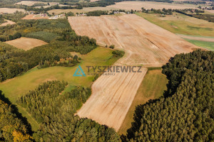 Działka na sprzedaż 6500m2 gdański Trąbki Wielkie Ełganowo Macierzy Szkolnej - zdjęcie 2