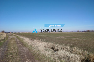 Działka na sprzedaż 58800m2 malborski Malbork Kałdowo - zdjęcie 1