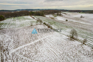 Działka na sprzedaż 1003m2 kartuski Stężyca Gołubie - zdjęcie 3