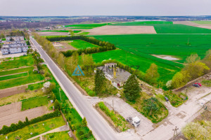 Działka na sprzedaż 10091m2 sępoleński Kamień Krajeński Duża Cerkwica - zdjęcie 3