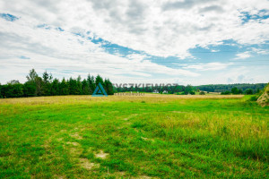 Działka na sprzedaż 5712m2 kościerski Liniewo Głodowo - zdjęcie 2