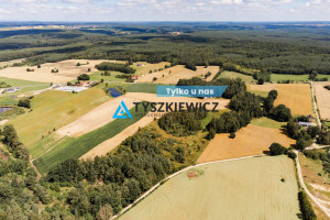 Działka na sprzedaż 30100m2 bytowski Czarna Dąbrówka Kaszubska - zdjęcie 1