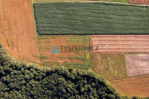 Działka na sprzedaż 3032m2 pucki Krokowa Lisewo Leśna - zdjęcie 3