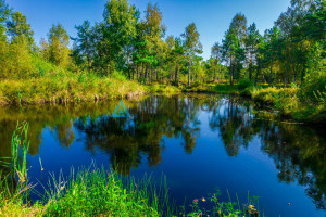 Działka na sprzedaż 7300m2 kartuski Kartuzy Staniszewo - zdjęcie 2