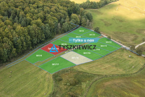 Działka na sprzedaż 1387m2 gdański Przywidz Trzepowo Mestwina - zdjęcie 1