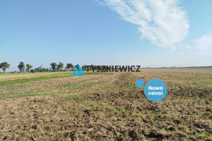 Działka na sprzedaż 18800m2 malborski Miłoradz - zdjęcie 1