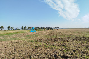 Działka na sprzedaż 18800m2 malborski Miłoradz - zdjęcie 1