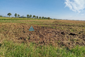 Działka na sprzedaż 18800m2 malborski Miłoradz - zdjęcie 3