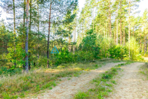 Działka na sprzedaż 7500m2 kościerski Dziemiany Piechowice - zdjęcie 2