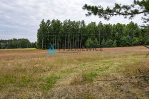 Działka na sprzedaż 35000m2 starogardzki Kaliska Strych - zdjęcie 3