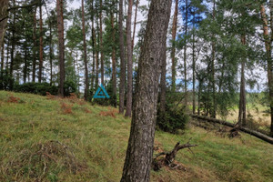 Działka na sprzedaż 53000m2 kościerski Kościerzyna Skorzewo - zdjęcie 2