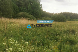 Działka na sprzedaż 21600m2 starogardzki Osieczna - zdjęcie 1