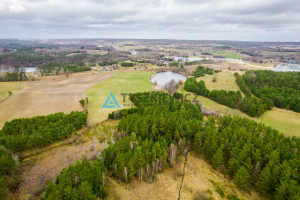 Działka na sprzedaż 21952m2 bytowski Miastko Głodowo - zdjęcie 2