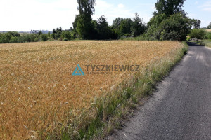 Działka na sprzedaż 105064m2 sztumski Sztum Koniecwałd - zdjęcie 2