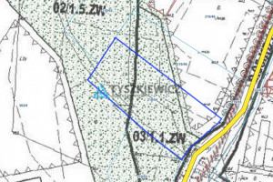 Działka na sprzedaż 3925m2 gdański Trąbki Wielkie Domachowo - zdjęcie 2