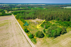 Działka na sprzedaż 10428m2 słupski Dębnica Kaszubska Piaskowa - zdjęcie 3