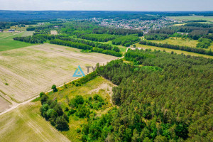 Działka na sprzedaż 10428m2 słupski Dębnica Kaszubska Piaskowa - zdjęcie 3