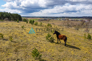 Działka na sprzedaż 15026m2 wejherowski Linia Zakrzewo - zdjęcie 3