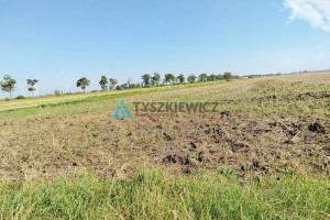 Działka na sprzedaż 18800m2 malborski Miłoradz - zdjęcie 2