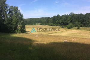 Działka na sprzedaż 2997m2 gdański Przywidz Trzepowo Cystersów - zdjęcie 3