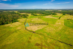 Działka na sprzedaż 9200m2 bytowski Trzebielino Poborowo - zdjęcie 2