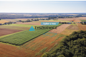 Działka na sprzedaż 3090m2 pucki Krokowa Lisewo Leśna - zdjęcie 1