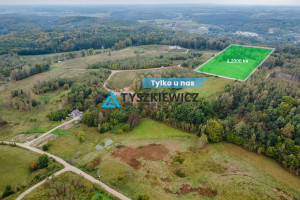 Działka na sprzedaż 22000m2 gdański Przywidz Gawronia - zdjęcie 1