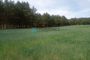 Działka na sprzedaż 1030m2 starogardzki Kaliska Dąbrowa - zdjęcie 2