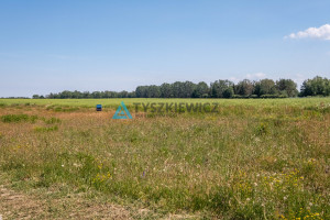 Działka na sprzedaż 1000m2 pucki Kosakowo Pierwoszyno Truskawkowa - zdjęcie 2