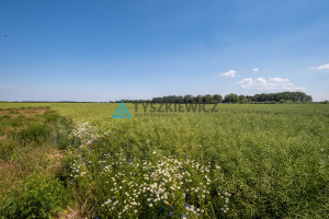 Działka na sprzedaż 1000m2 pucki Kosakowo Pierwoszyno Truskawkowa - zdjęcie 3