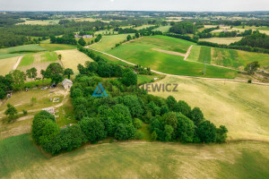 Działka na sprzedaż 7003m2 kartuski Stężyca Łosienice - zdjęcie 3