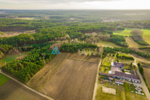 Działka na sprzedaż kościerski Stara Kiszewa Lipy - zdjęcie 3