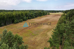 Działka na sprzedaż 35000m2 starogardzki Kaliska Strych - zdjęcie 2