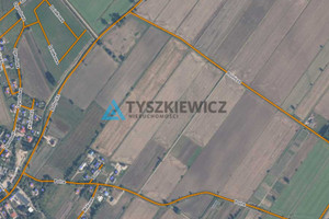 Działka na sprzedaż 33882m2 gdański Pruszcz Gdański Rokitnica Polna - zdjęcie 2