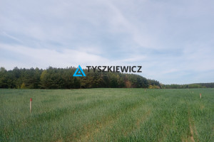 Działka na sprzedaż 1037m2 starogardzki Kaliska Dąbrowa - zdjęcie 1