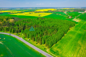 Działka na sprzedaż 78200m2 tucholski Tuchola Bladowo - zdjęcie 3