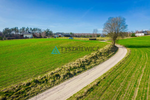 Działka na sprzedaż 1350m2 kościerski Nowa Karczma - zdjęcie 3