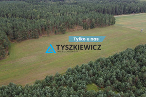 Działka na sprzedaż 35700m2 bytowski Czarna Dąbrówka Brzezinka - zdjęcie 1