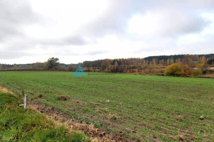 Działka na sprzedaż 3014m2 starogardzki Starogard Gdański Siwiałka - zdjęcie 3