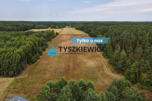 Działka na sprzedaż 35000m2 starogardzki Kaliska Strych - zdjęcie 1