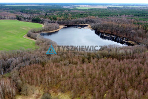 Działka na sprzedaż 13119m2 bytowski Miastko Wołcza Mała - zdjęcie 3