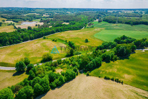 Działka na sprzedaż 6100m2 bytowski Tuchomie - zdjęcie 3