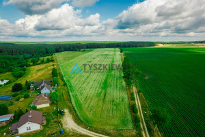 Działka na sprzedaż 3010m2 bytowski Czarna Dąbrówka Nożyno - zdjęcie 3