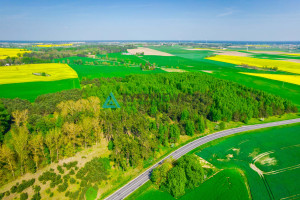 Działka na sprzedaż 78200m2 tucholski Tuchola Bladowo - zdjęcie 2