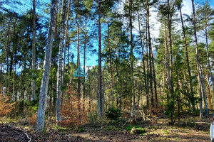 Działka na sprzedaż 804m2 kartuski Żukowo Chwaszczyno Adama Mickiewicza - zdjęcie 3