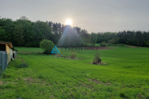 Działka na sprzedaż 71000m2 gdański Trąbki Wielkie Mierzeszyn - zdjęcie 2