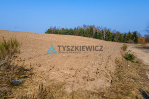 Działka na sprzedaż 10724m2 pucki Krokowa Polna - zdjęcie 3