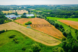 Działka na sprzedaż kościerski Liniewo Stary Wiec - zdjęcie 2