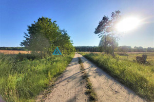 Działka na sprzedaż 3000m2 wejherowski Choczewo Słajszewo - zdjęcie 2